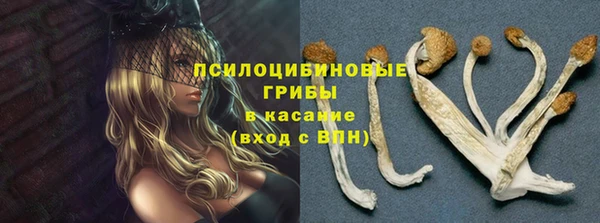 mdpv Богородицк